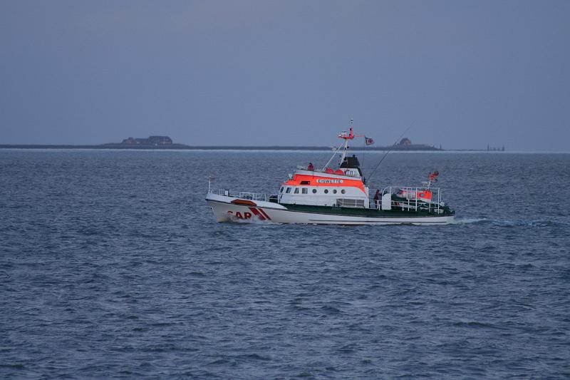83DJ-2008-009 Bild004.JPG